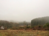 Looking down to the garden, from the top of  Gite\'s land. 2012_morvan-390